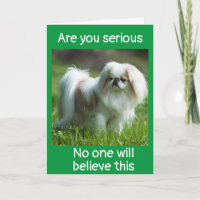 FÅNIGETS HUND SÄGER *GRATTISAR PÅ DIN NYA JOBB*