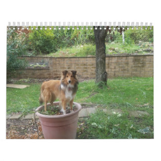 Fånigets hyllor kalender