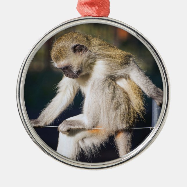 Fånigets nyckel julgransprydnad metall (Framsidan)