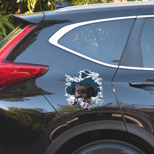 Fanny hund ansikte klistermärken (Bilsidan)