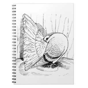 Fantail 1978 Saddle Anteckningsbok