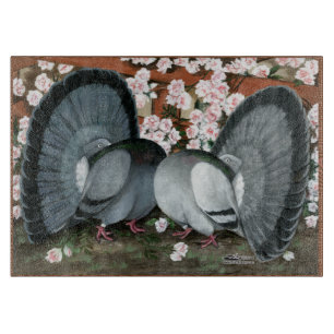 Fantail Duvor Matchat Par