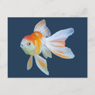 Fantail Goldfish Watercolor Vykort