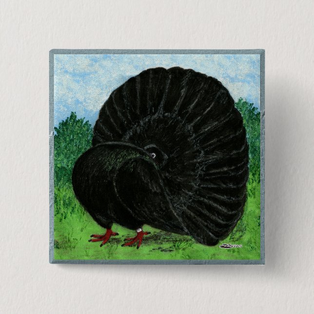 Fantail Pigeon Black Knapp (Framsida)