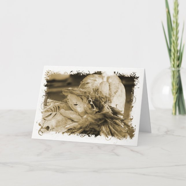 Fantail Pigeon Kort (Framsida)