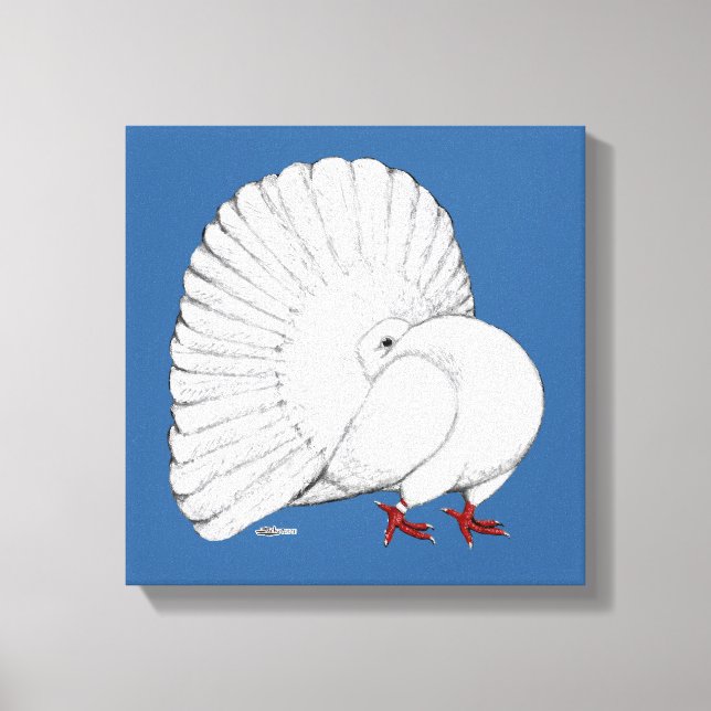 Fantail Pigeon White Canvastryck (Framsida)
