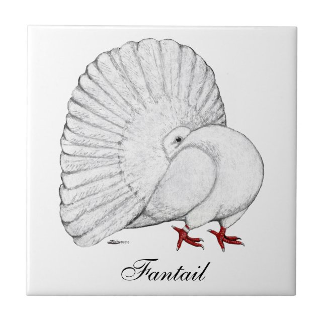 Fantail Pigeon White Kakelplatta (Framsidan)