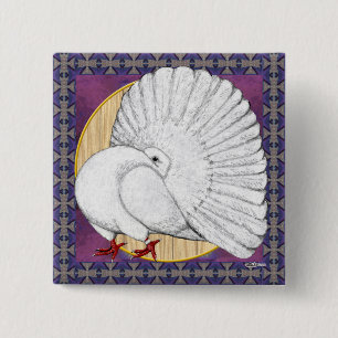 Fantail Pigeon White med bakgrund Knapp