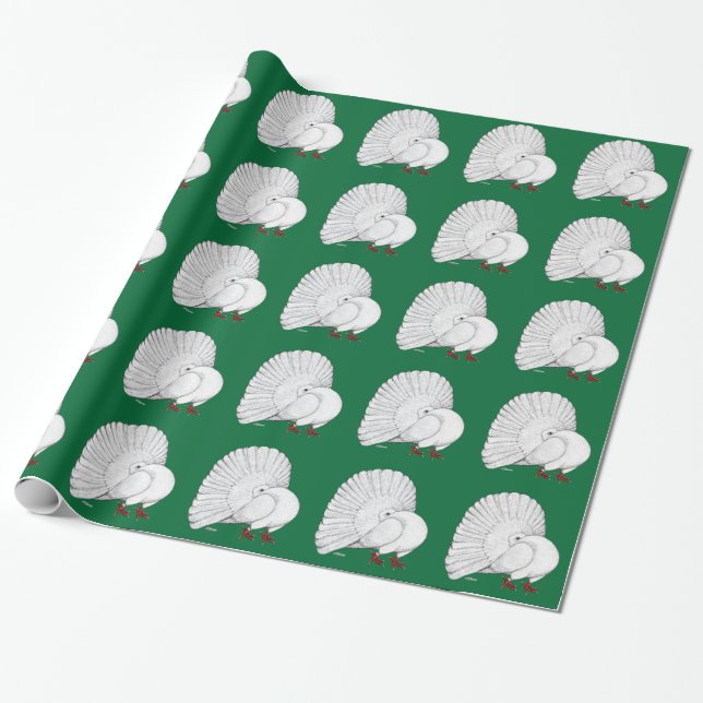 Fantail Pigeon White Presentpapper (Utrullad)