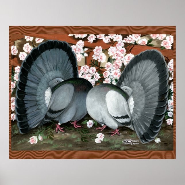 Fantail Pigeons Matched Pair Poster (Framsidan)
