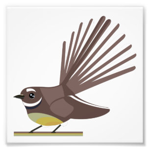 Fantail piwakawaka NZ BIRD Fototryck