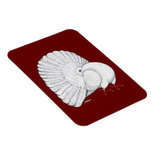 Fantail: Vit Magnet