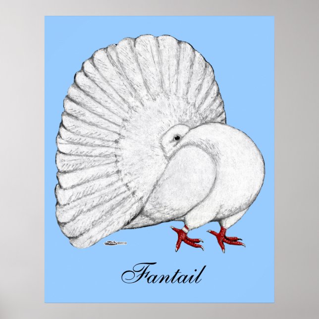 Fantail: Vit Poster (Framsidan)