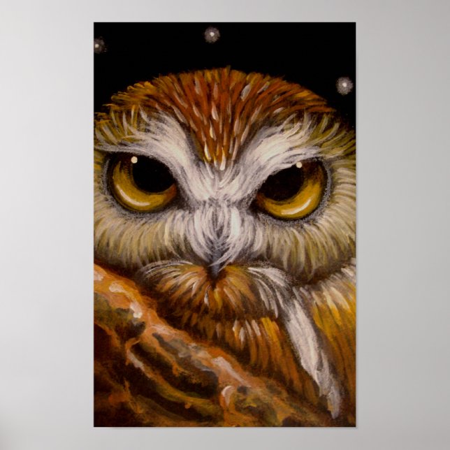 FANTASE SAW-WHET UGGLA Poster (Framsidan)