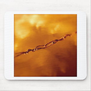 Fantasia Wire i Orange Musmatta