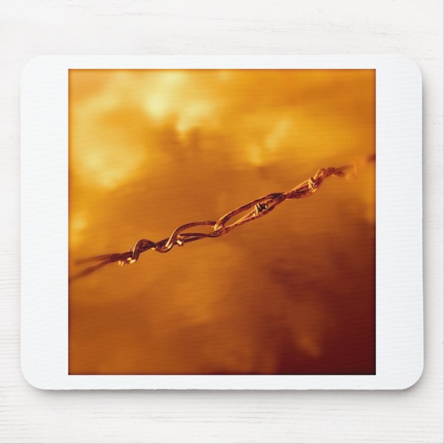 Fantasia Wire i Orange Musmatta (Framsidan)