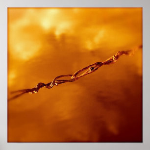 Fantasia Wire i Orange Poster