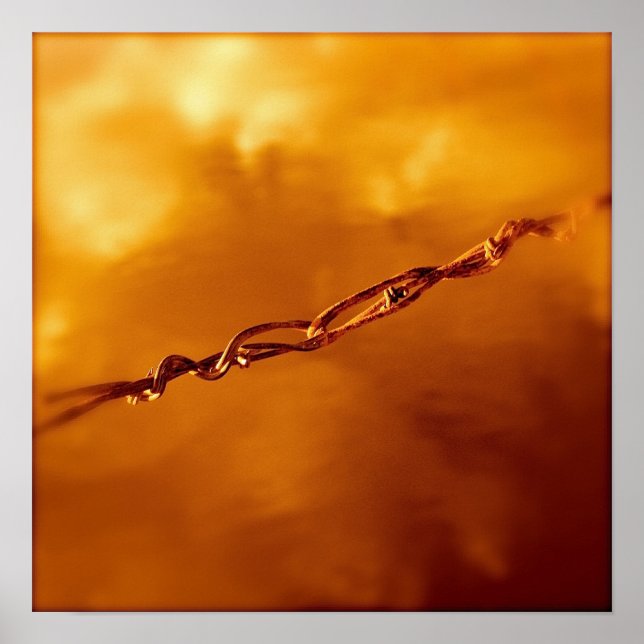 Fantasia Wire i Orange Poster (Framsidan)