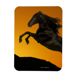 Fantasihästar: Bergsolnedgång Magnet
