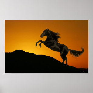 Fantasihästar: Bergsolnedgång Poster