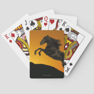 Fantasihästar: Bergsolnedgång Spel Kort