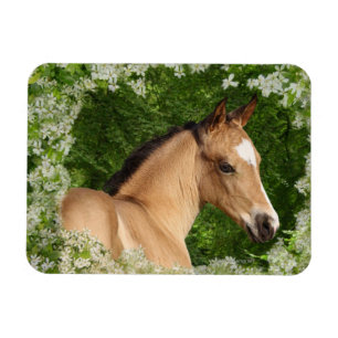 Fantasihästar: Blommor Magnet
