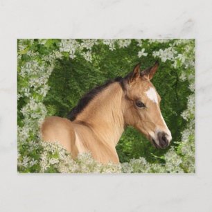 Fantasihästar: Blommor Vykort