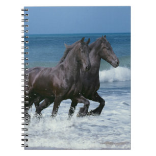 Fantasihästar: Friesians & hav Anteckningsbok Med Spiral