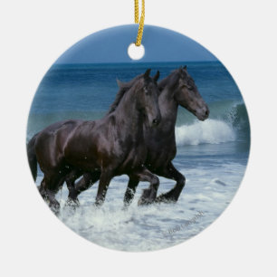 Fantasihästar: Friesians & hav Julgransprydnad Keramik