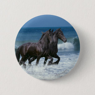 Fantasihästar: Friesians & hav Knapp