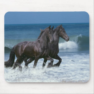Fantasihästar: Friesians & hav Musmatta