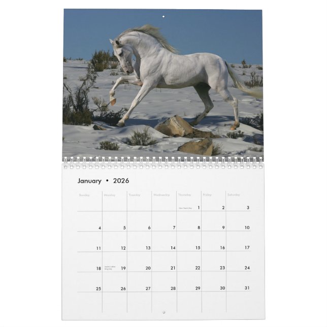 Fantasihästar Kalender (Jan 2026)
