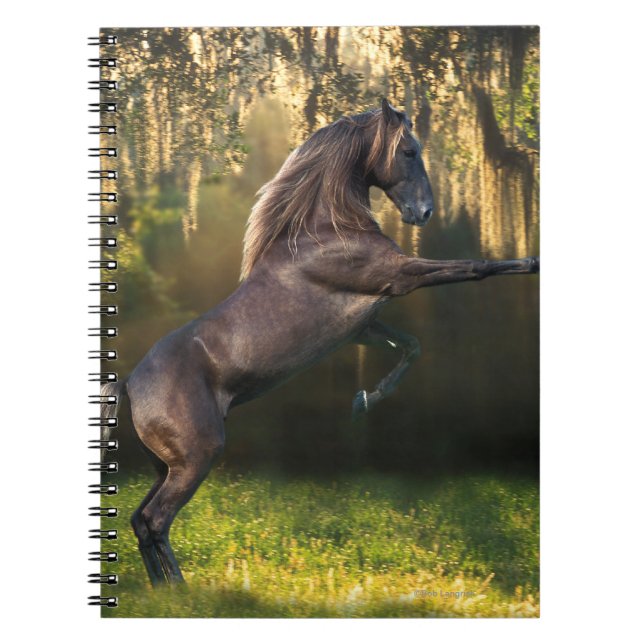 Fantasihästar: KrigarePrince Anteckningsbok (Framsidan)