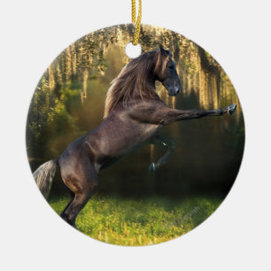 Fantasihästar: KrigarePrince Julgransprydnad Keramik