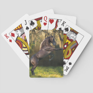 Fantasihästar: KrigarePrince Kortlek