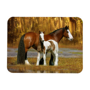 Fantasihästar: Mare & föl Magnet