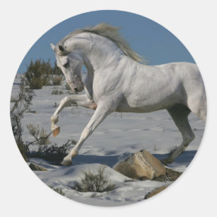 Fantasihästar: Snökung Runt Klistermärke