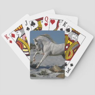 Fantasihästar: Snökung Spel Kort
