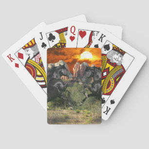 Fantasihästar: Svart magi Casinokort