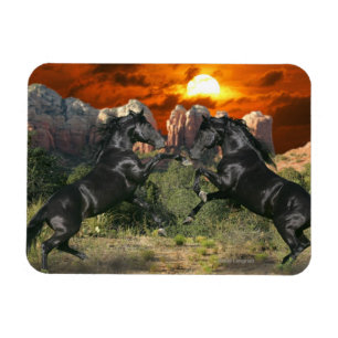 Fantasihästar: Svart magi Magnet