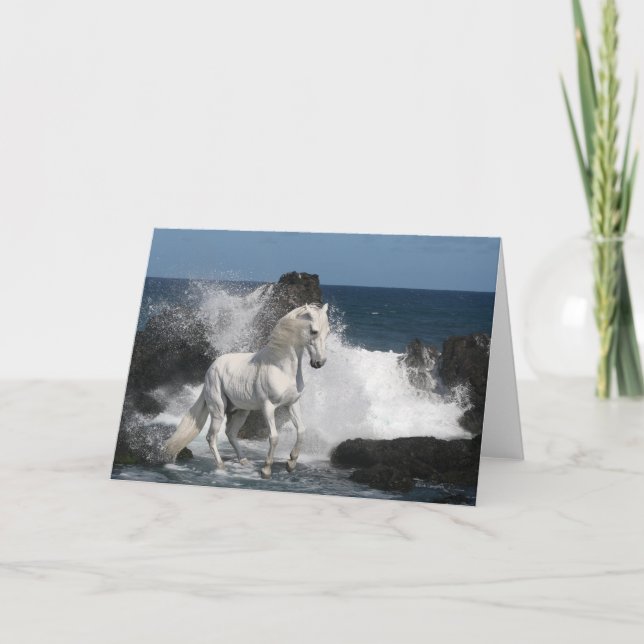 Fantasihästar: Sydliga hav Kort (Framsida)