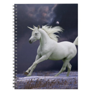 Fantasihästar: Unicorn Anteckningsbok