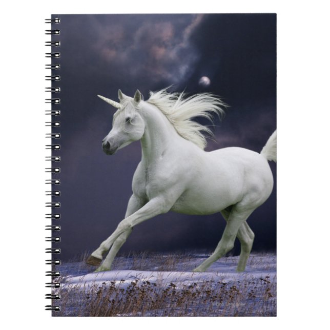 Fantasihästar: Unicorn Anteckningsbok (Framsidan)