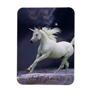 Fantasihästar: Unicorn Magnet