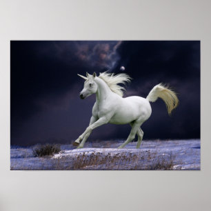Fantasihästar: Unicorn Poster