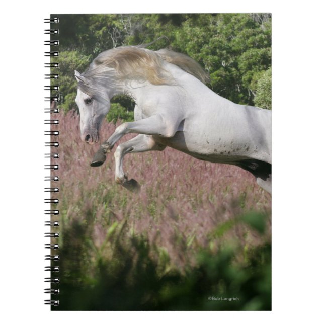 Fantasihästar: Vårgalopp Anteckningsbok Med Spiral (Framsidan)