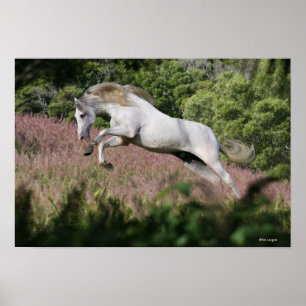 Fantasihästar: Vårgalopp Poster
