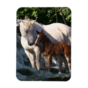 Fantasihästar: Vattenfall Magnet