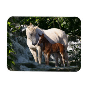 Fantasihästar: Vattenfall Magnet