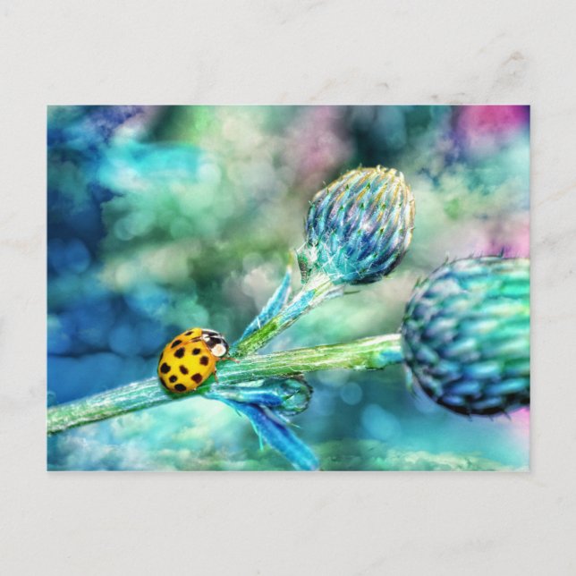 Fantastischer Marienkäfer Vykort (Framsida)